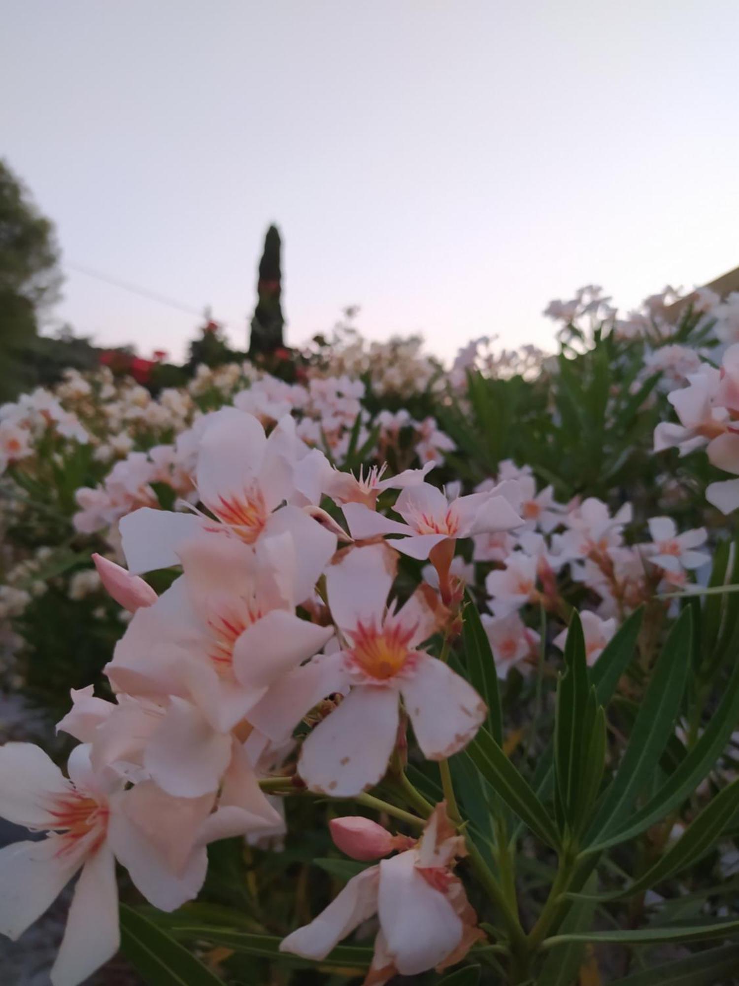 Captain'S House Λογγός Εξωτερικό φωτογραφία